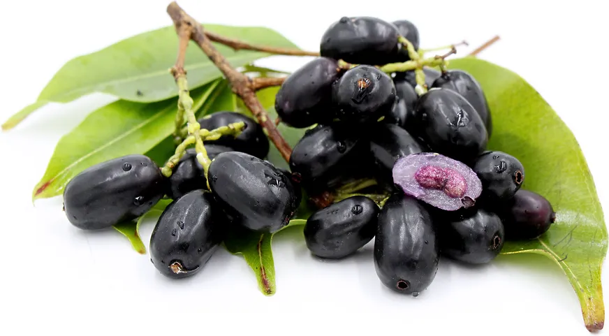 Jamun