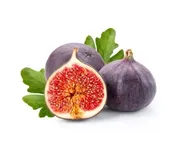 Fig